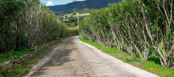 2 bedrooms Villa in Berchidda, Italy No. 326994 13