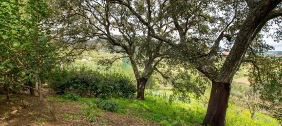 2 bedrooms Villa in Berchidda, Italy No. 326994 10