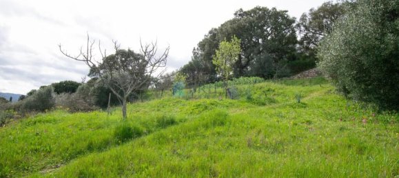 2 bedrooms Villa in Berchidda, Italy No. 326994 23