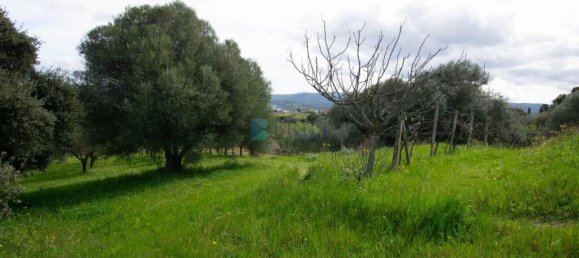 2 bedrooms Villa in Berchidda, Italy No. 326994 24