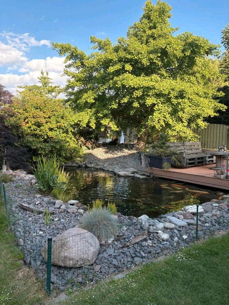 Casa T4 em Anhalt-Bitterfeld, Germany N.º 285272