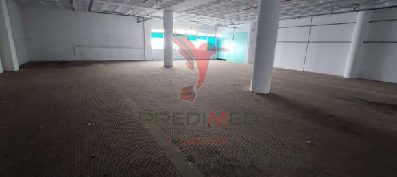 3000m² Warehouse in Loures, Portugal No. 85301 5