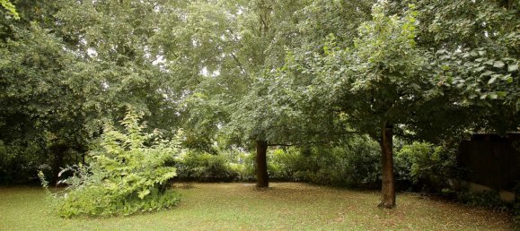 4 rooms Apartment in Potsdam-Mittelmark, Germany No. 253320 3