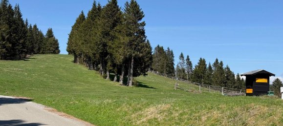 3غرفة شقة في Lobmingtal, Austria رقم 182230 4