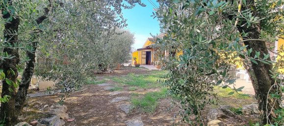 3 غرف نوم منزل في Monsummano Terme, Italy رقم 365200 10