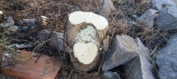 1235m² Land in Segovia, Spain No. 28647 9