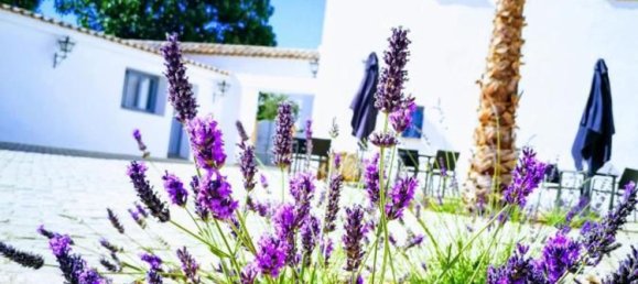 15 غرف نوم منزل في Ronda, Spain رقم 88650 7