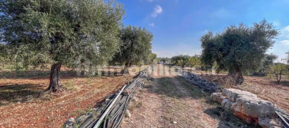 Casa de 1 dormitorio en Conversano, Italy No. 237840 79