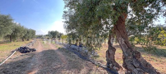 Casa de 1 dormitorio en Conversano, Italy No. 237840 69