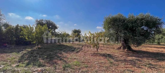 Casa de 1 dormitorio en Conversano, Italy No. 237840 94