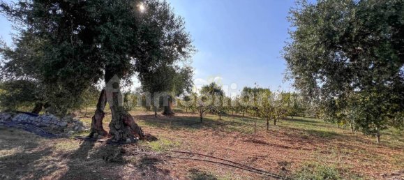 Casa de 1 dormitorio en Conversano, Italy No. 237840 77