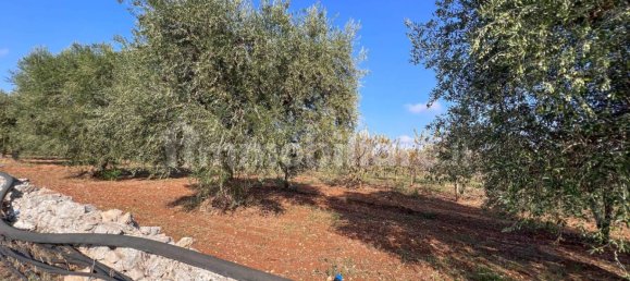 Casa de 1 dormitorio en Conversano, Italy No. 237840 85