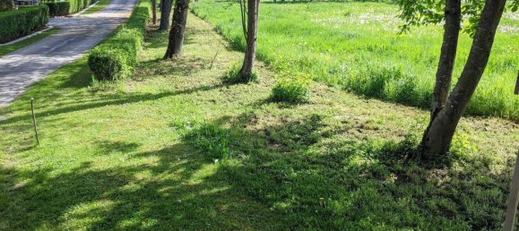  Land in Tobaj, Austria No. 153565 6