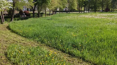  Land in Tobaj, Austria No. 153565