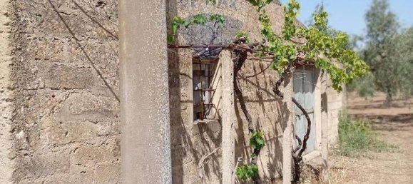 5غرفة فيلا في Caltagirone, Italy رقم 72496 14