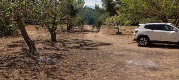 5غرفة فيلا في Caltagirone, Italy رقم 72496 5