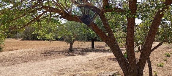 5غرفة فيلا في Caltagirone, Italy رقم 72496 3