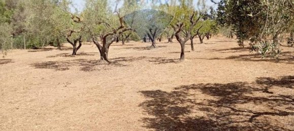 5غرفة فيلا في Caltagirone, Italy رقم 72496 17