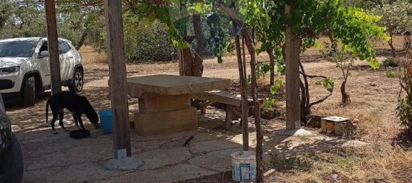 5غرفة فيلا في Caltagirone, Italy رقم 72496 26