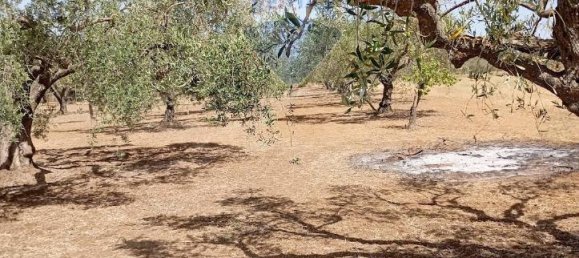 5غرفة فيلا في Caltagirone, Italy رقم 72496 8