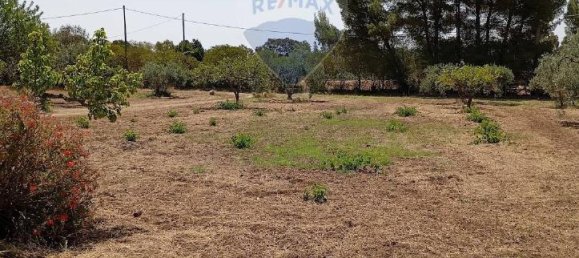 5غرفة فيلا في Caltagirone, Italy رقم 72496 15