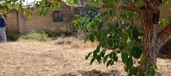 5غرفة فيلا في Caltagirone, Italy رقم 72496 6