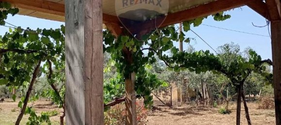 5غرفة فيلا في Caltagirone, Italy رقم 72496 27