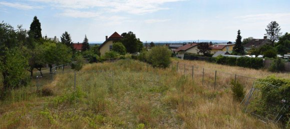 Land in Sooss, Austria No. 245992 5