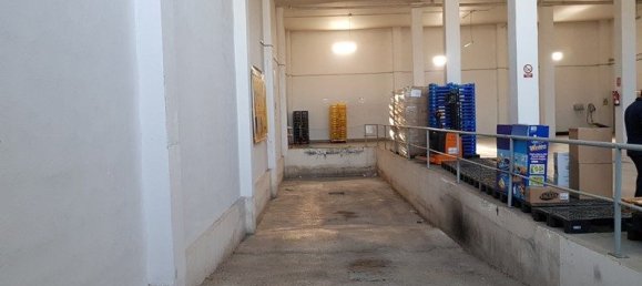1029m² Warehouse in Salobrena, Spain No. 75600 7