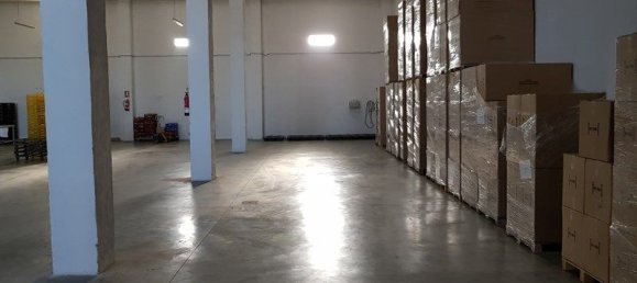 1029m² Warehouse in Salobrena, Spain No. 75600 3