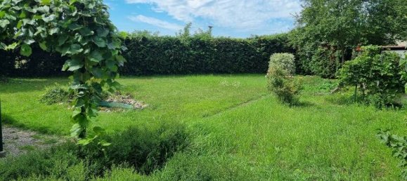 3 bedrooms House in Rhein-Neckar-Kreis, Germany No. 321930 4