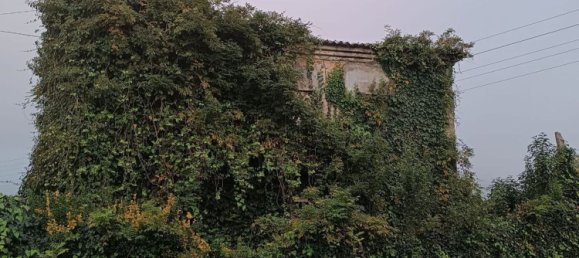 4 غرف نوم منزل في Braga, Portugal رقم 33456 11