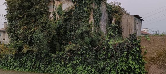 4 غرف نوم منزل في Braga, Portugal رقم 33456 20