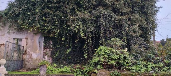 4 غرف نوم منزل في Braga, Portugal رقم 33456 4