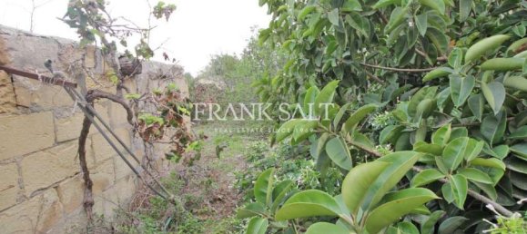 Таунхаус с 3 спальнями в Заббар, Мальта № 1792 3