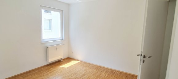 2 chambres Appartement à Mettmann, Germany No. 192478 8