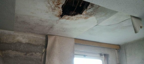 Granja de 4 dormitorios en Wittenberg, Germany No. 218820 17