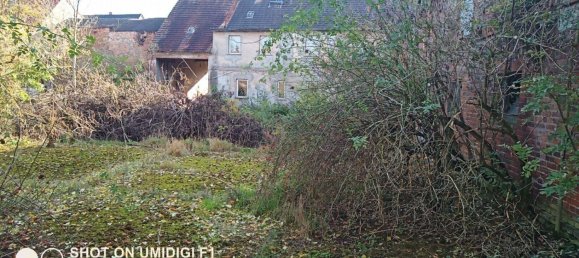 Granja de 4 dormitorios en Wittenberg, Germany No. 218820 5