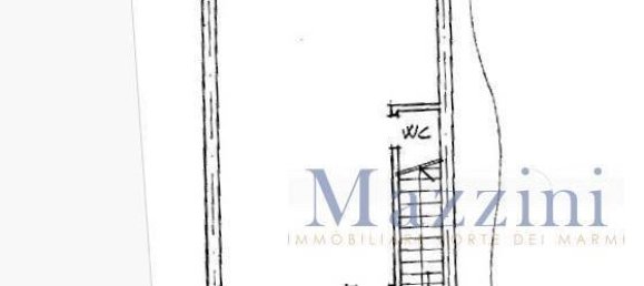 2 bedrooms Villa in Forte dei Marmi, Italy No. 352644 31