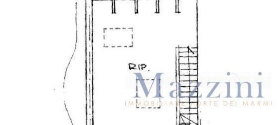 2 bedrooms Villa in Forte dei Marmi, Italy No. 352644 34