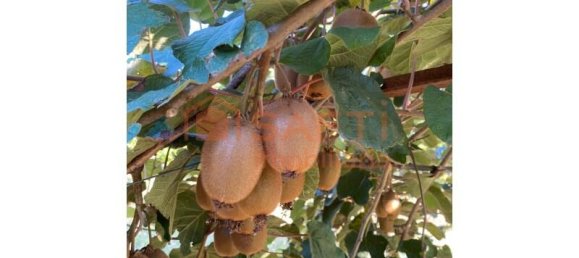 Casa de 5 dormitorios en Lousada, Portugal No. 128578 18