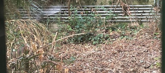 3-Zimmer Wohnung in Pescara, Italy, Nr. 268984 10