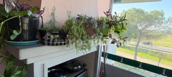 2 bedrooms Apartment in Cervia, Italy No. 295583 11