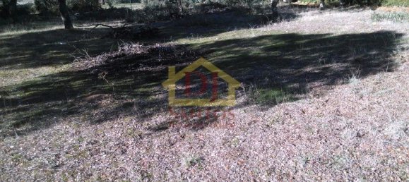 1145m² Land in Salamanca, Spain No. 64683 9