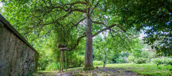 4 غرف نوم منزل في Keskastel, France رقم 63642 17