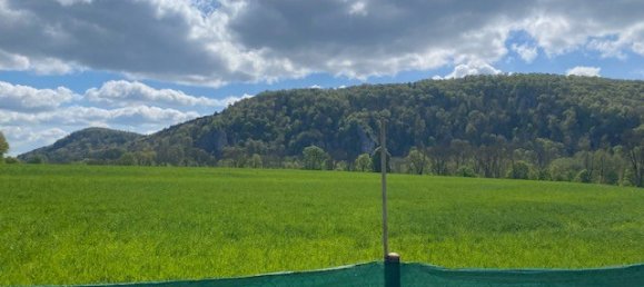 Bungalow de 5 divisões em Kelheim, Germany N.º 136709 11