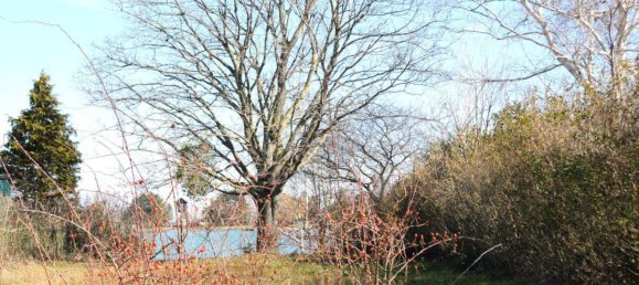 2-Zimmer Bungalow in Trausdorf an der Wulka, Austria, Nr. 140926 5