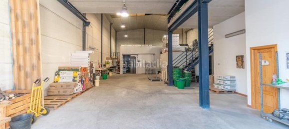 451m² Warehouse in Albolote, Spain No. 181378 4
