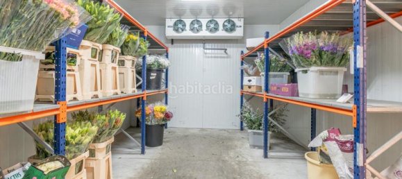 451m² Warehouse in Albolote, Spain No. 181378 20