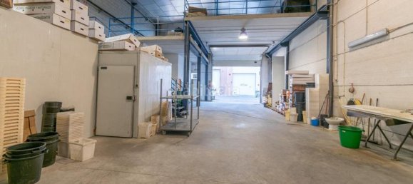 451m² Warehouse in Albolote, Spain No. 181378 25